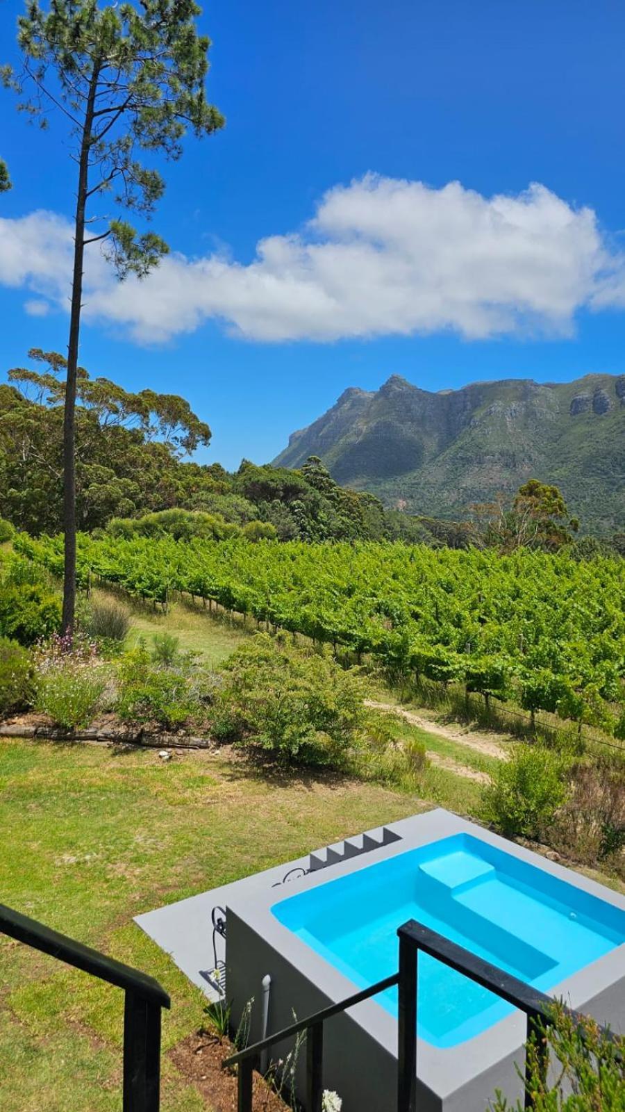 Bestplaceever - Luxury House With Vineyard Views Villa Cape Town Exterior photo